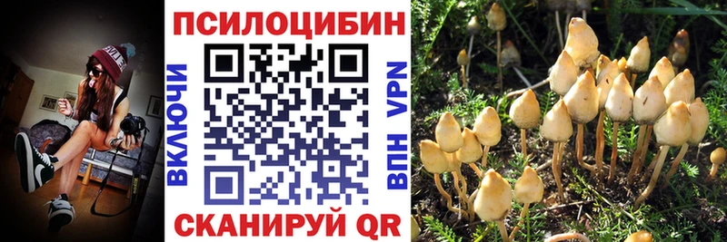 Псилоцибиновые грибы Cubensis  Купить закладки  Кирсанов 